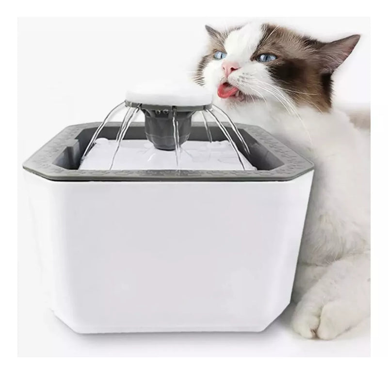 FUENTE DE AGUA MASCOTA PELOTA